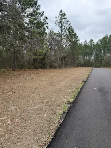 SW 135th Loop Ocala FL 34473