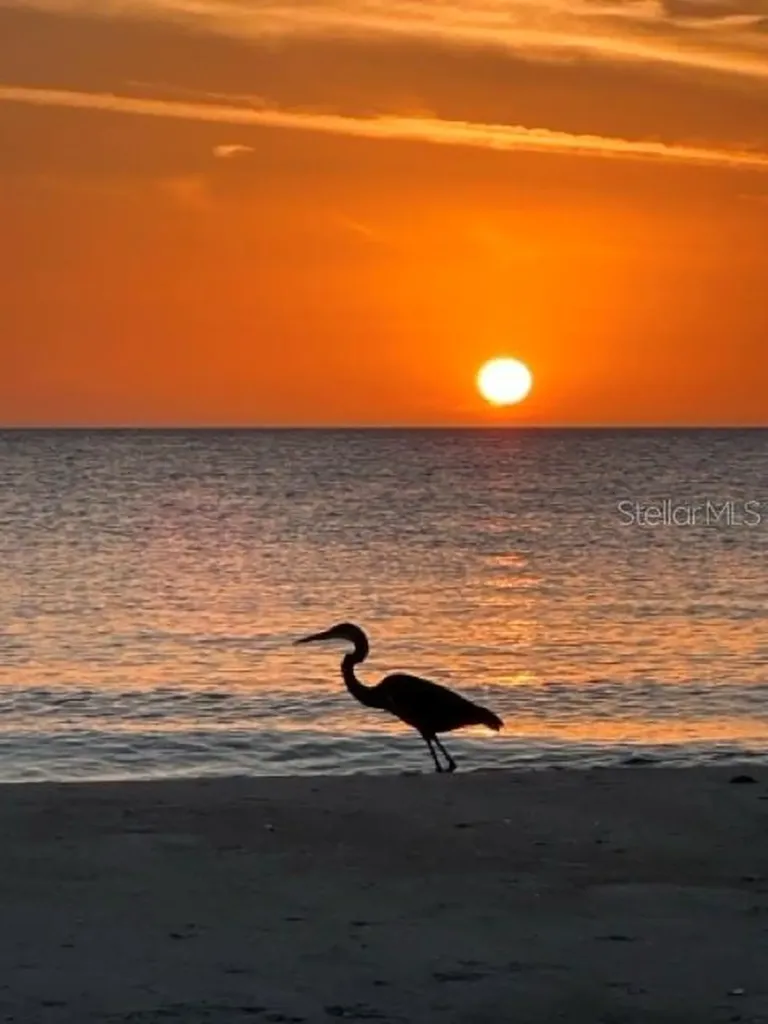600 Jungle Queen Way Longboat Key FL 34228