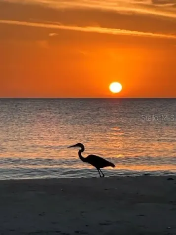 600 Jungle Queen Way Longboat Key FL 34228