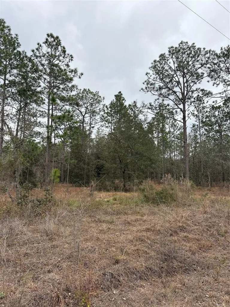 1159 NW Redwood Drive Dunnellon FL 34431