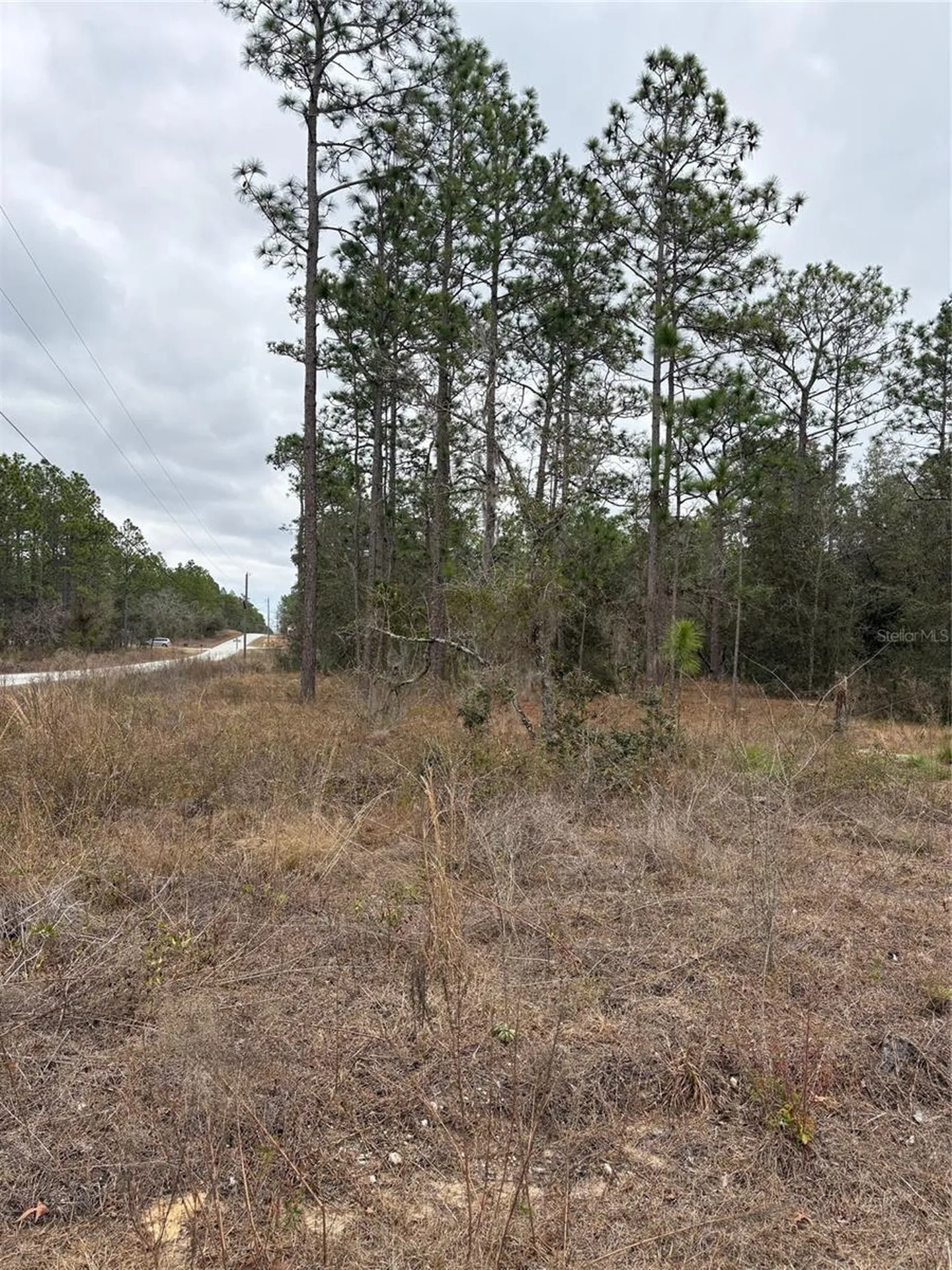 1159 NW Redwood Drive Dunnellon FL 34431