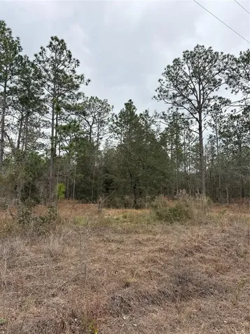 1159 NW Redwood Drive Dunnellon FL 34431