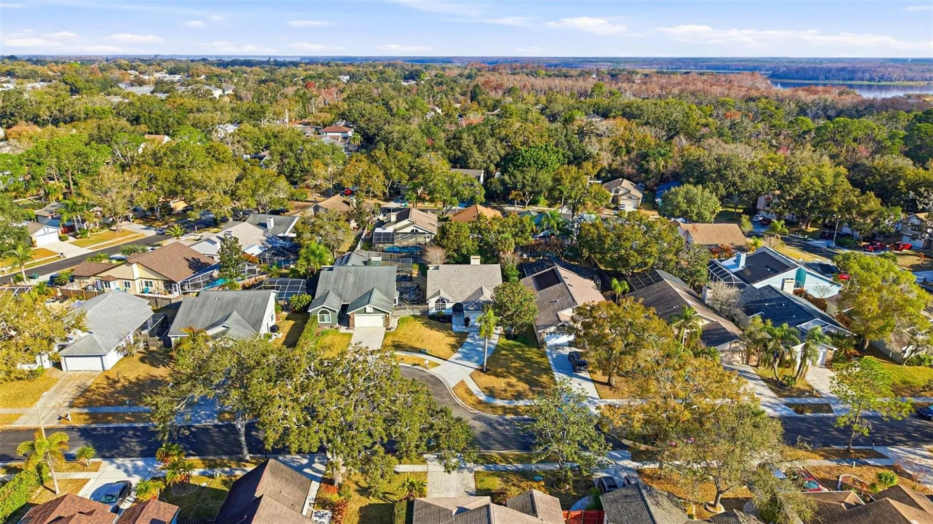 3567 Deer Run S Palm Harbor FL 34684
