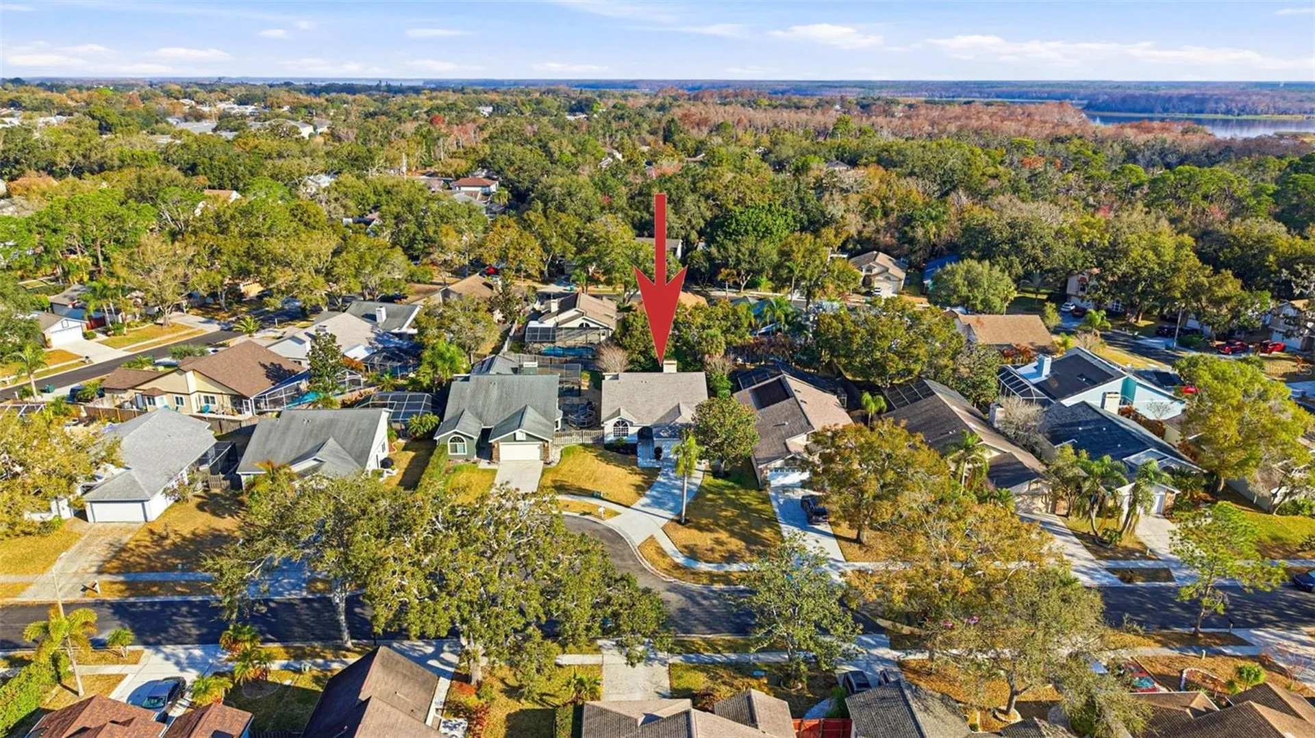 3567 Deer Run S Palm Harbor FL 34684