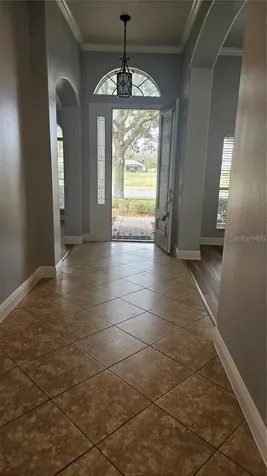317 E Blue Water Edge Drive Eustis FL 32736