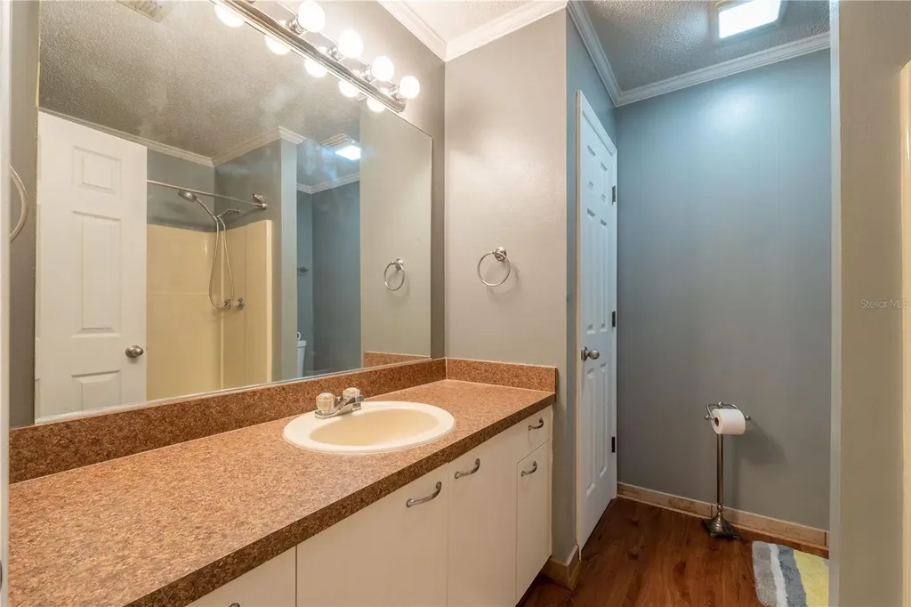 342 San Marino Drive The Villages FL 32159
