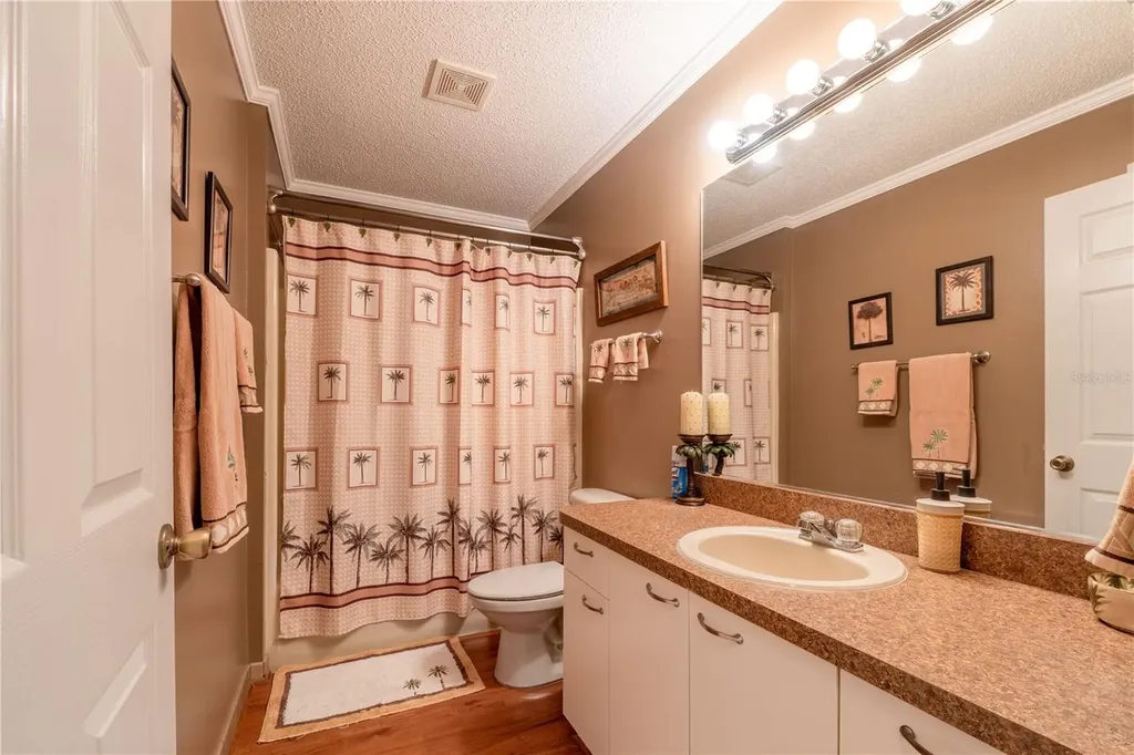 342 San Marino Drive The Villages FL 32159