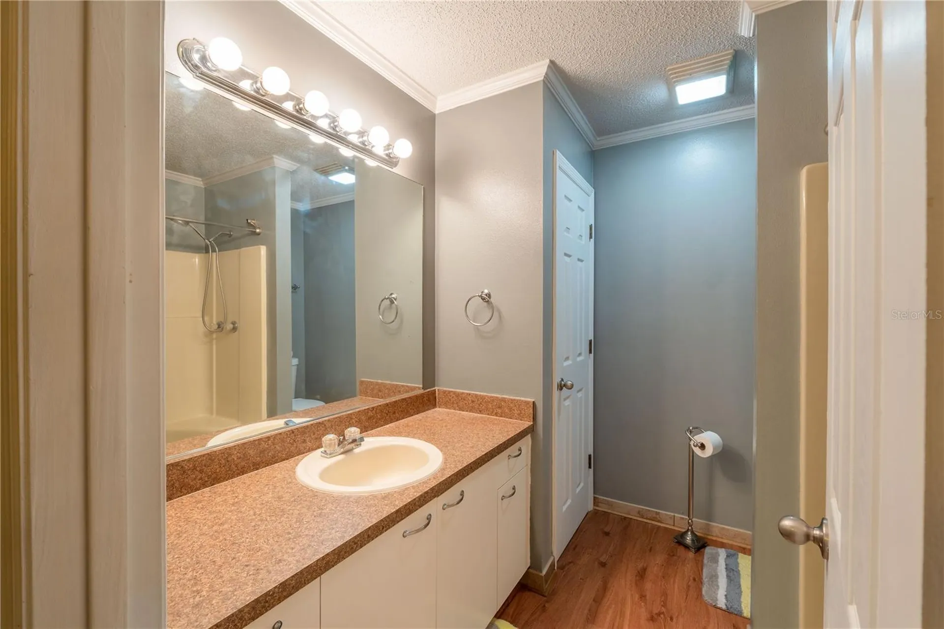 342 San Marino Drive The Villages FL 32159