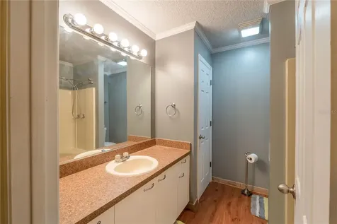 342 San Marino Drive The Villages FL 32159