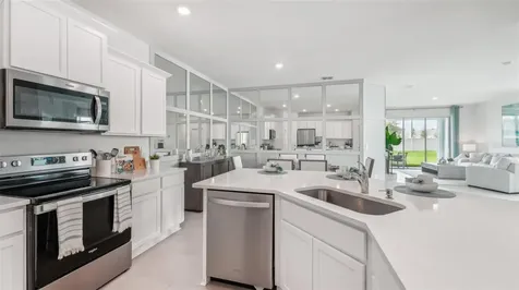 31337 Paper Birch Street Wesley Chapel FL 33545