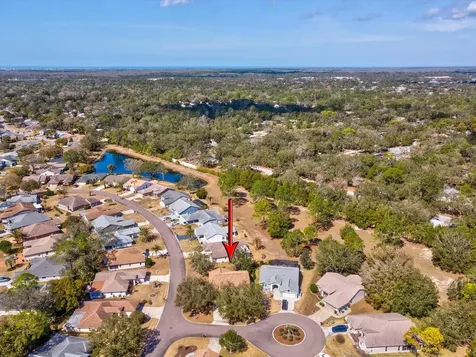 3123 Quail Hollow Court Spring Hill FL 34606