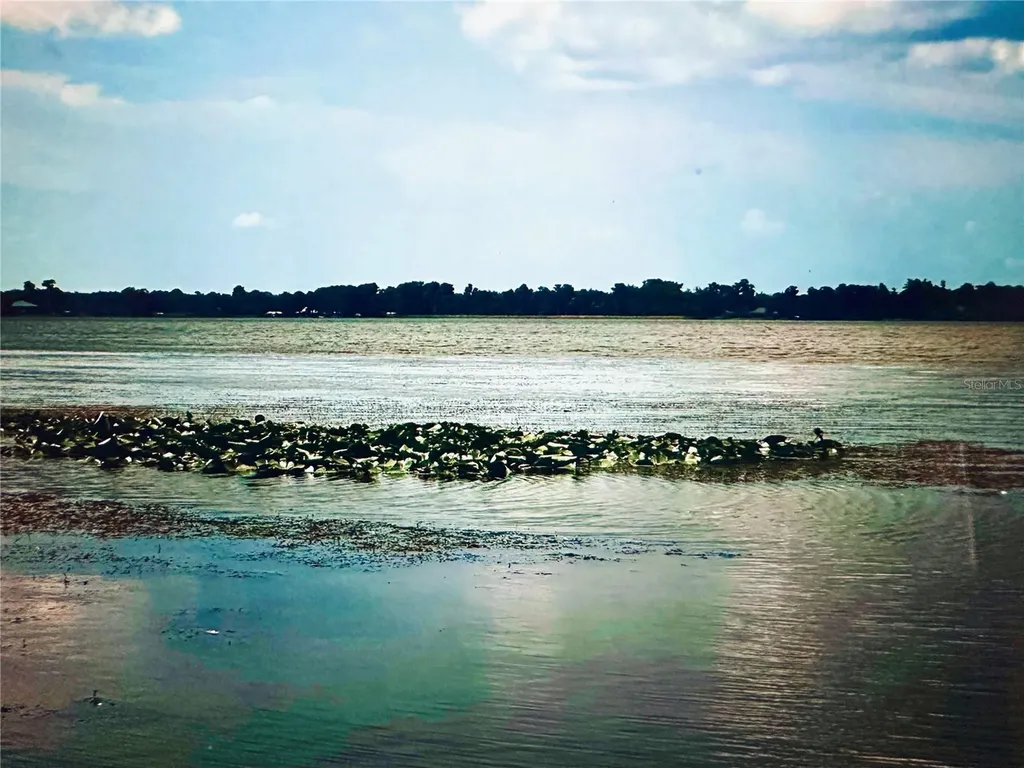 2807 Tindel Camp Road Lake Wales FL 33898