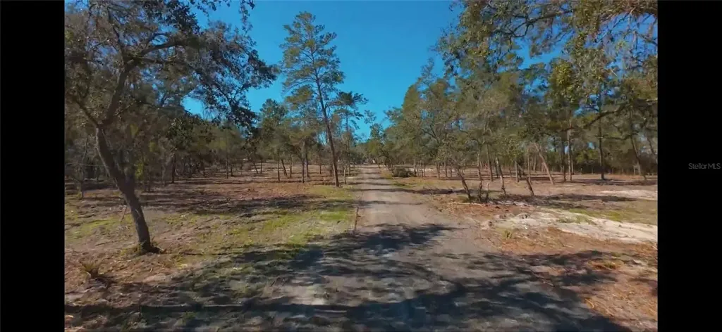 32325 State Road 44 Eustis FL 32736
