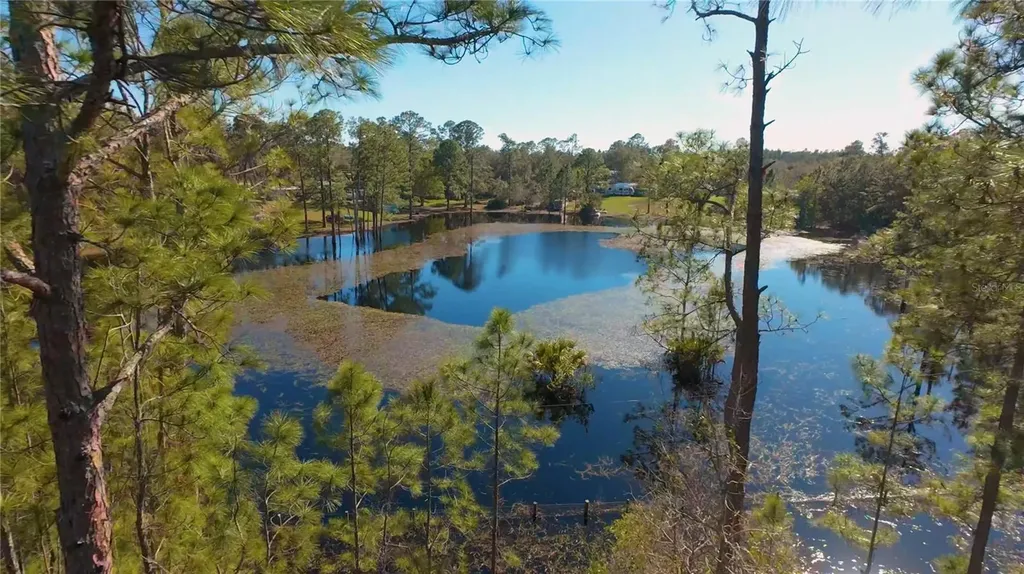 32325 State Road 44 Eustis FL 32736