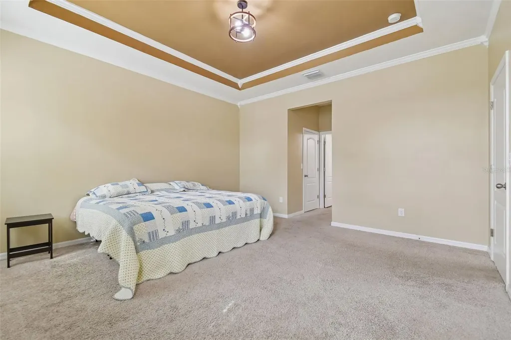 10507 Avian Forrest Drive Riverview FL 33578
