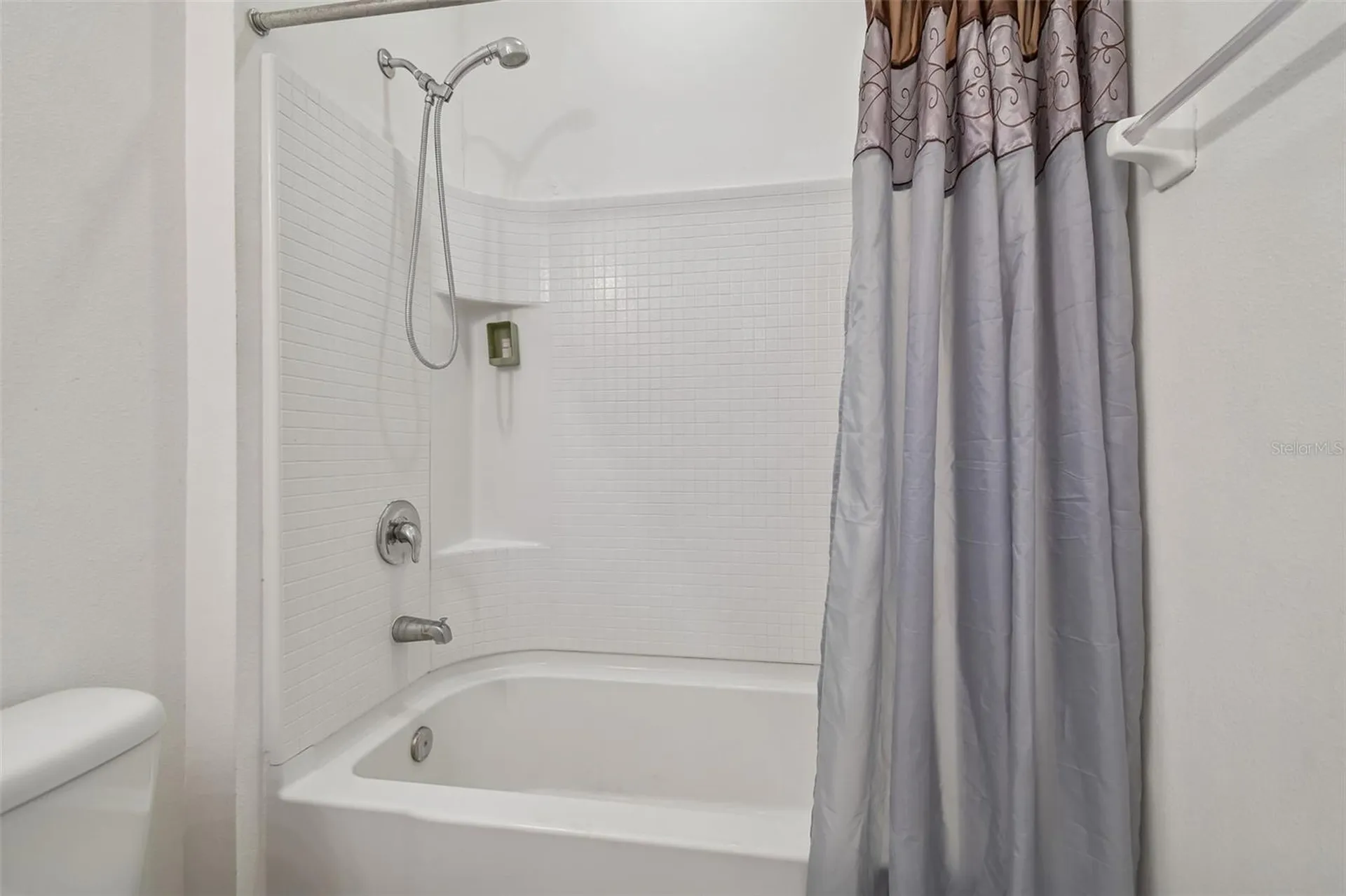 10507 Avian Forrest Drive Riverview FL 33578