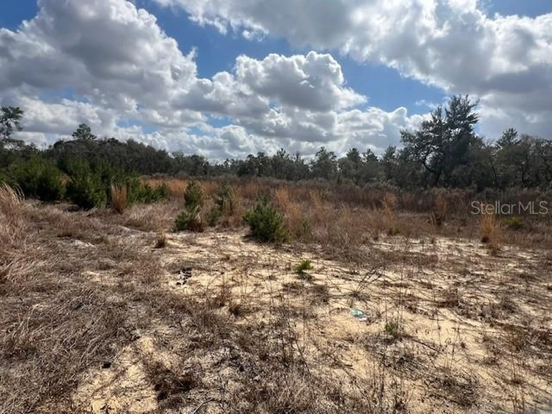 351 Marion Oaks Boulevard Ocala FL 34473
