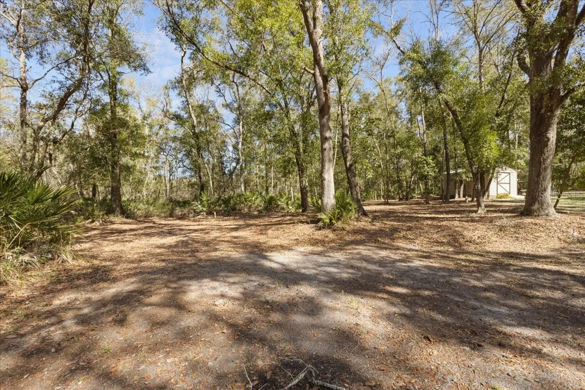 1658 NE 743rd Street Old Town FL 32680