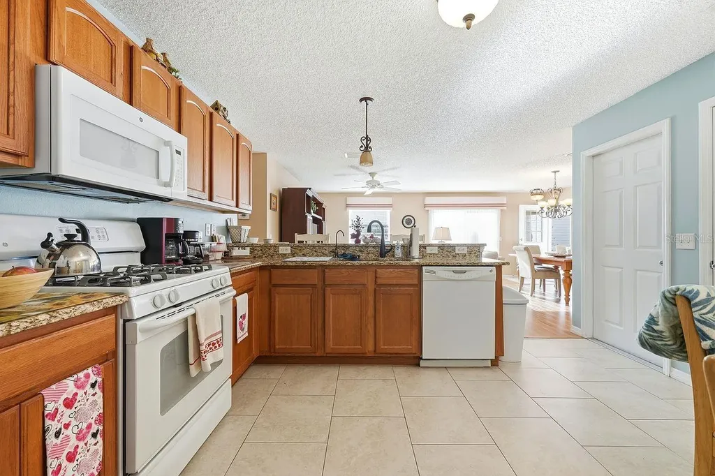 1469 Sothell Street The Villages FL 32162