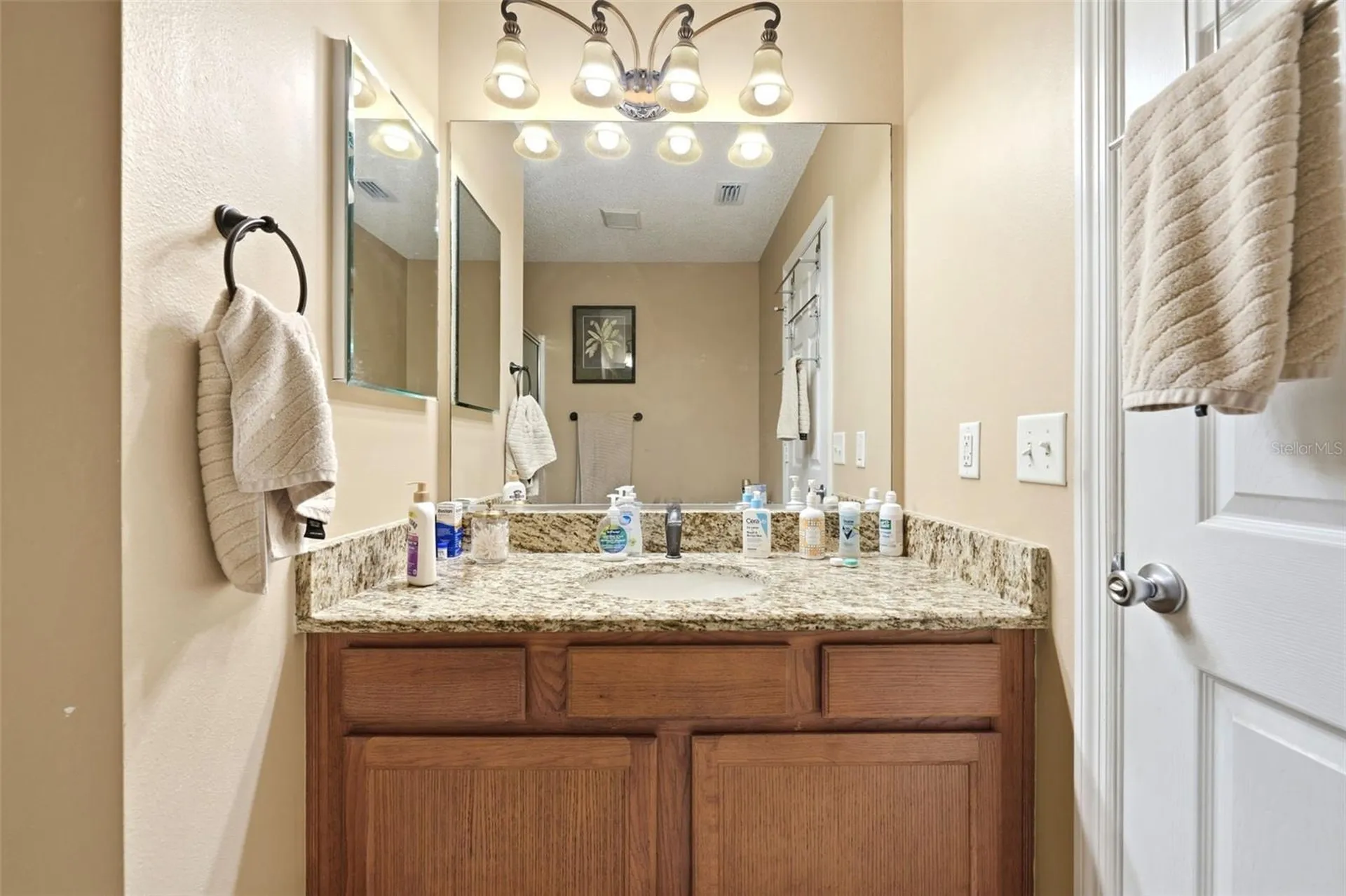 1469 Sothell Street The Villages FL 32162