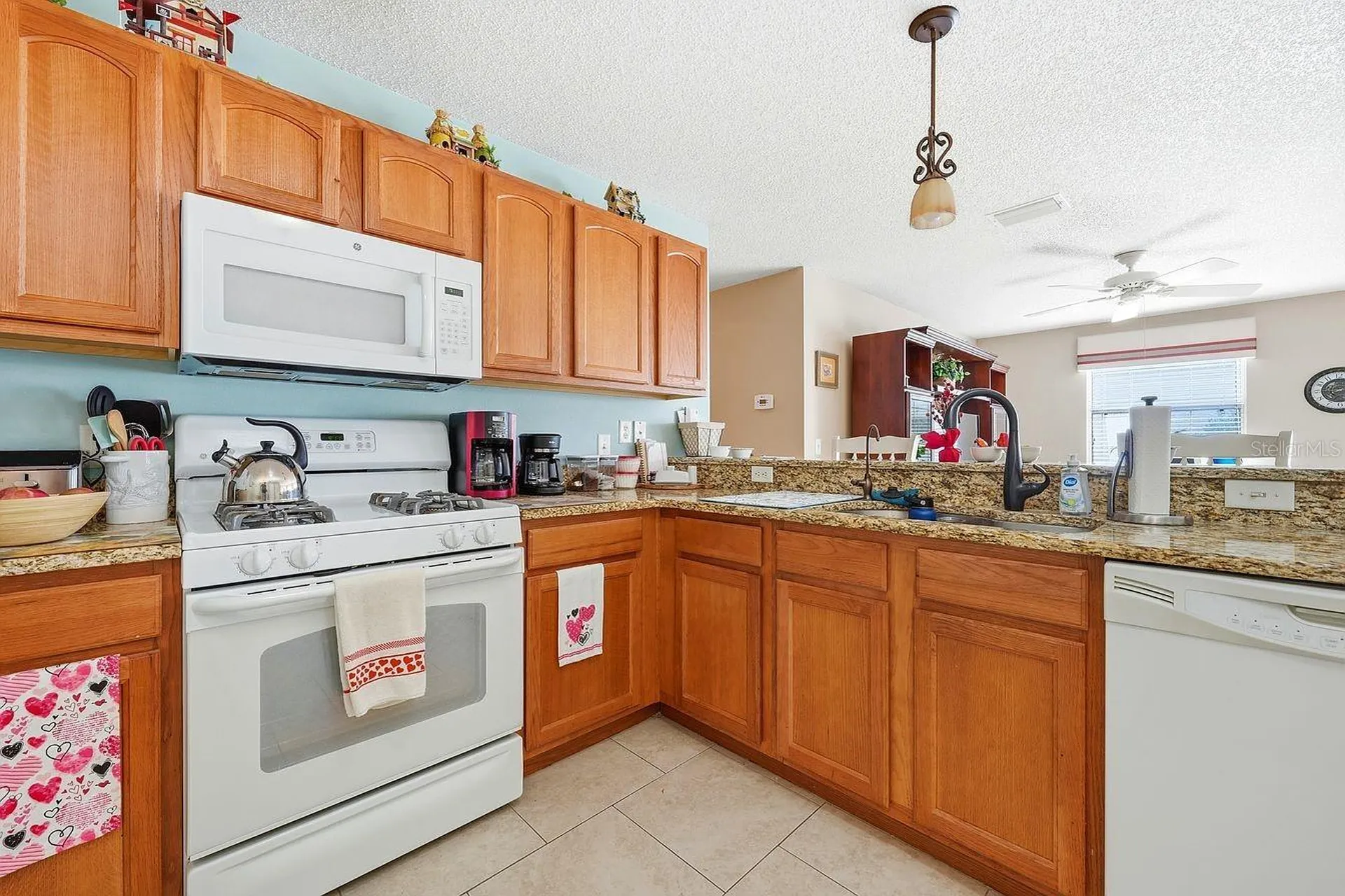 1469 Sothell Street The Villages FL 32162