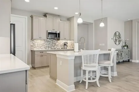 33287 Sycamore Leaf Drive Wesley Chapel FL 33545