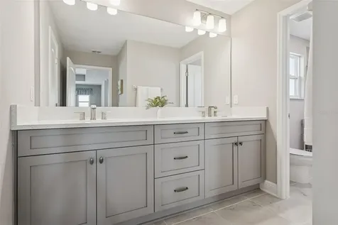 33287 Sycamore Leaf Drive Wesley Chapel FL 33545