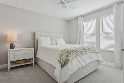33287 Sycamore Leaf Drive Wesley Chapel FL 33545