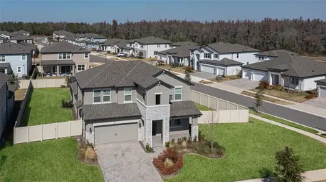 33287 Sycamore Leaf Drive Wesley Chapel FL 33545