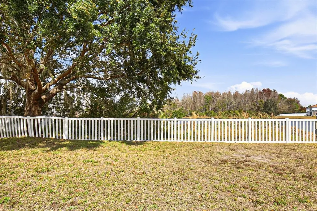 17003 Odessa Drive Land O Lakes FL 34638