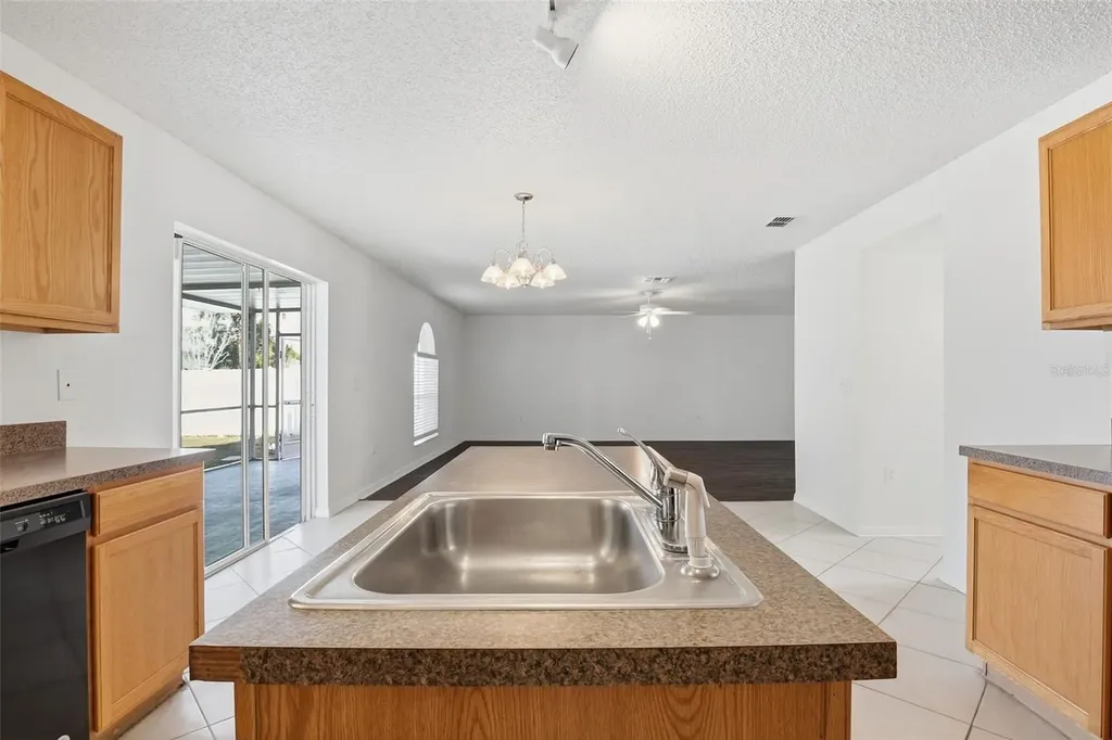 17003 Odessa Drive Land O Lakes FL 34638