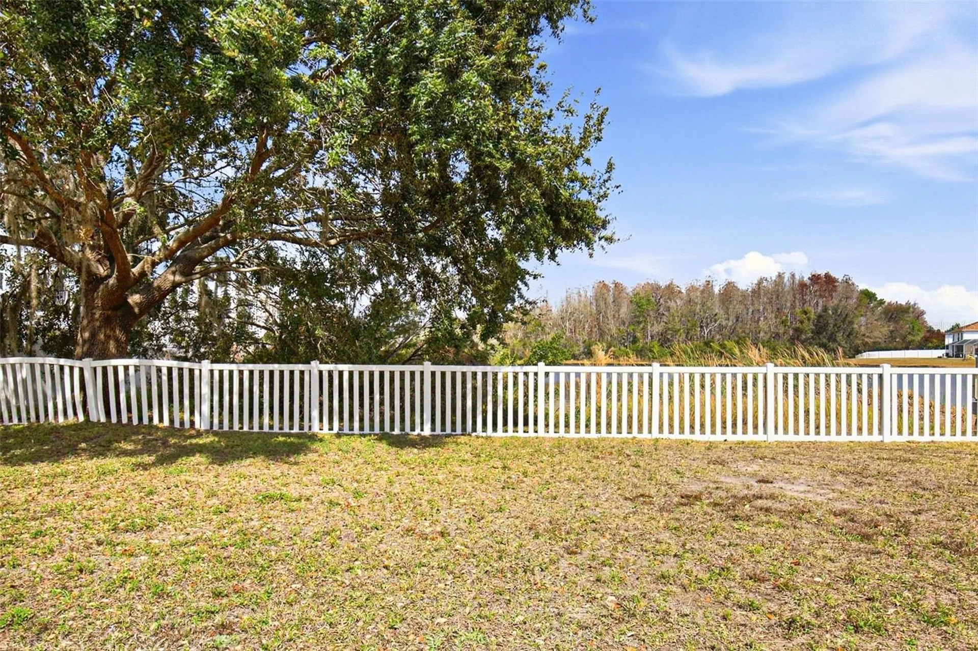 17003 Odessa Drive Land O Lakes FL 34638