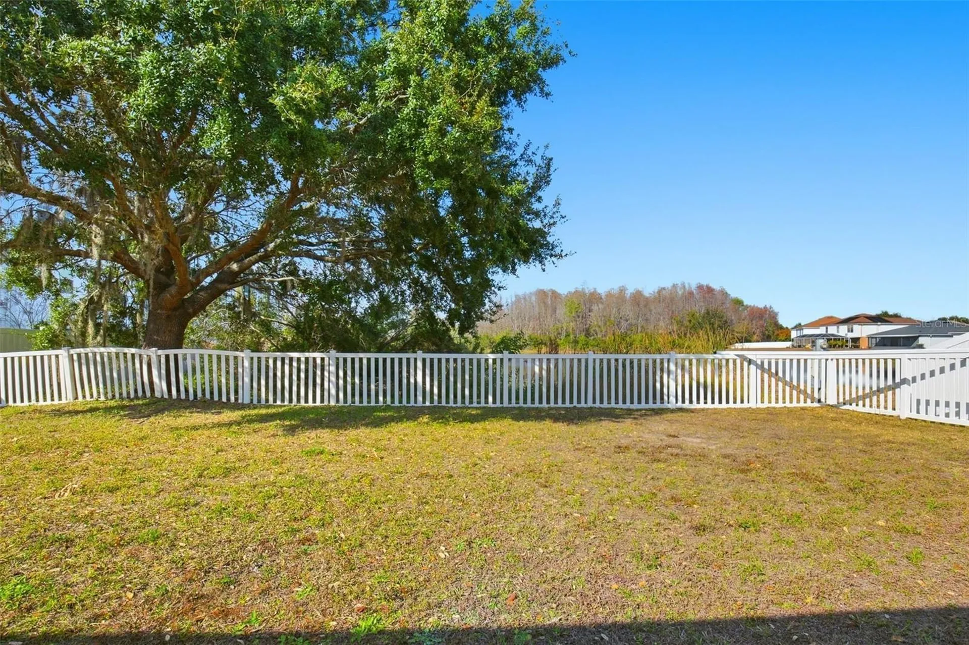 17003 Odessa Drive Land O Lakes FL 34638