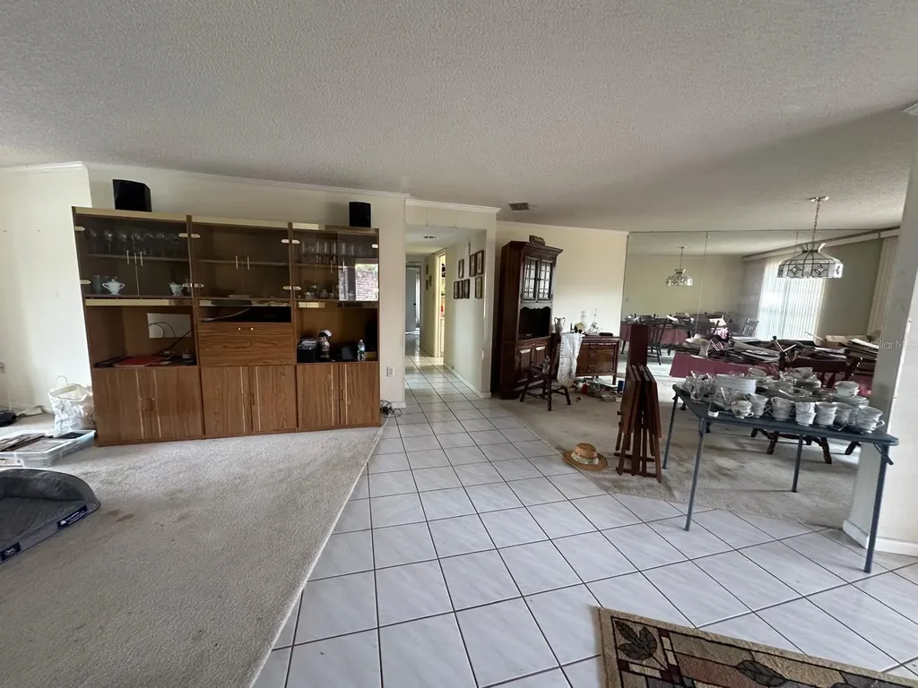 19250 Blount Road Lutz FL 33558
