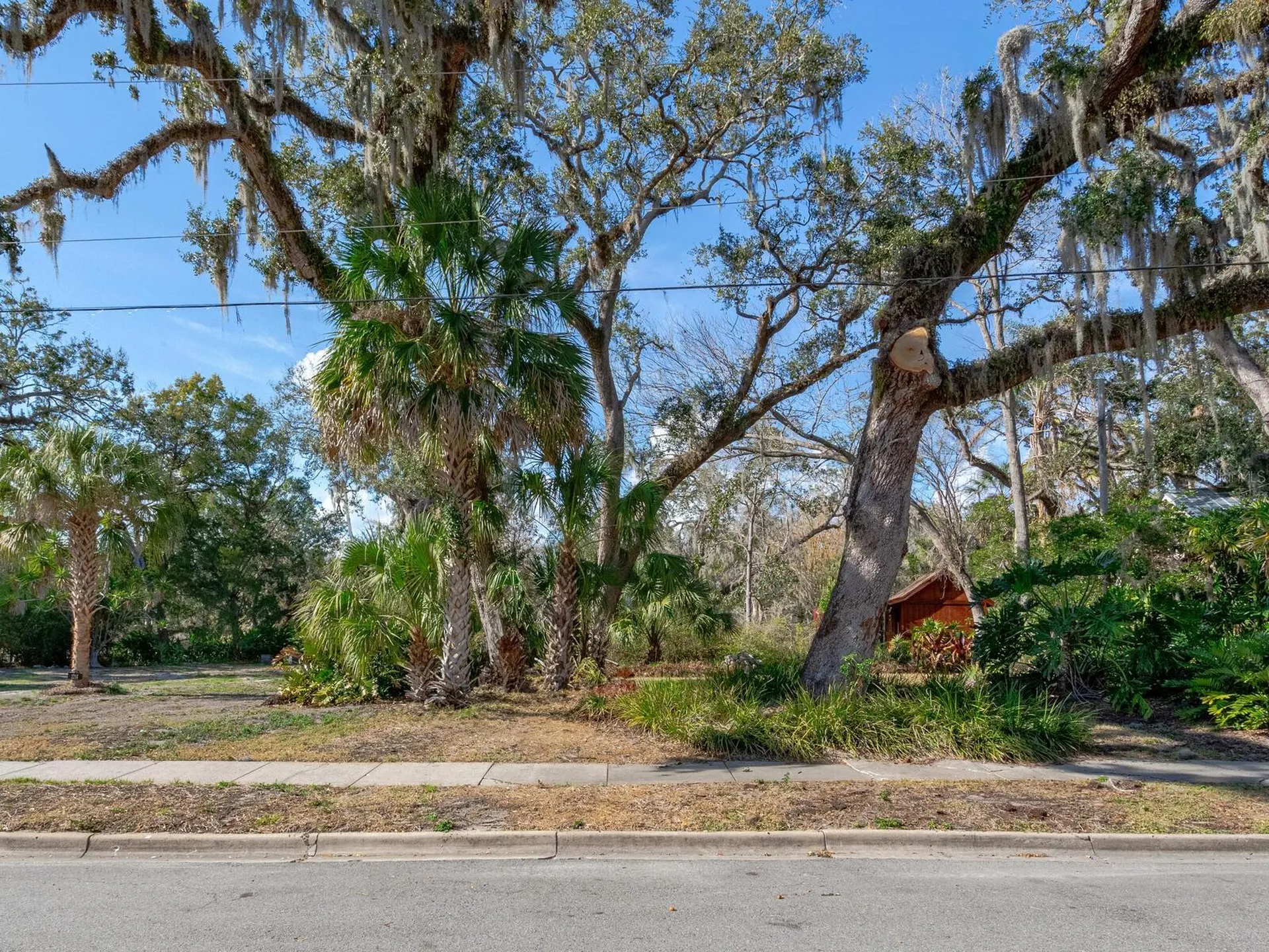 1214 E Park Circle Tampa FL 33604