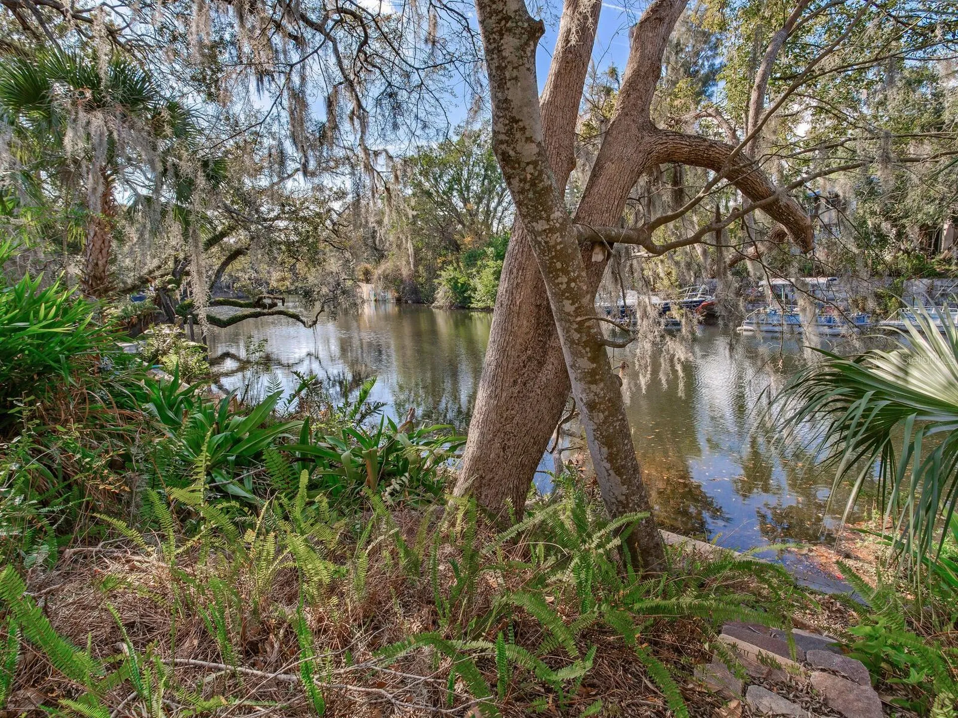 1214 E Park Circle Tampa FL 33604