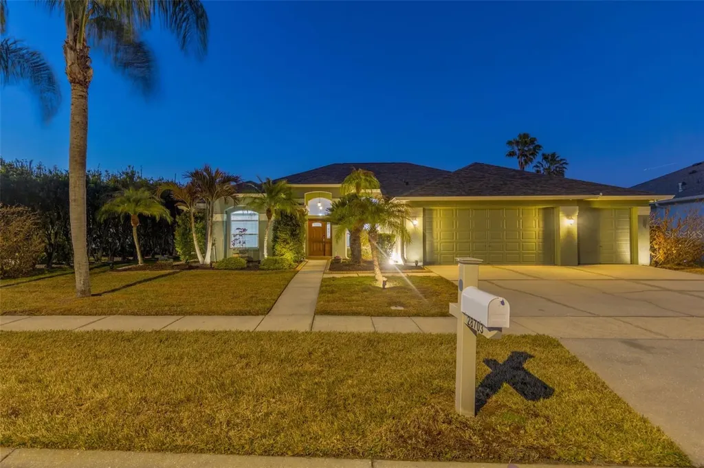 28703 Crooked Stick Court Wesley Chapel FL 33543
