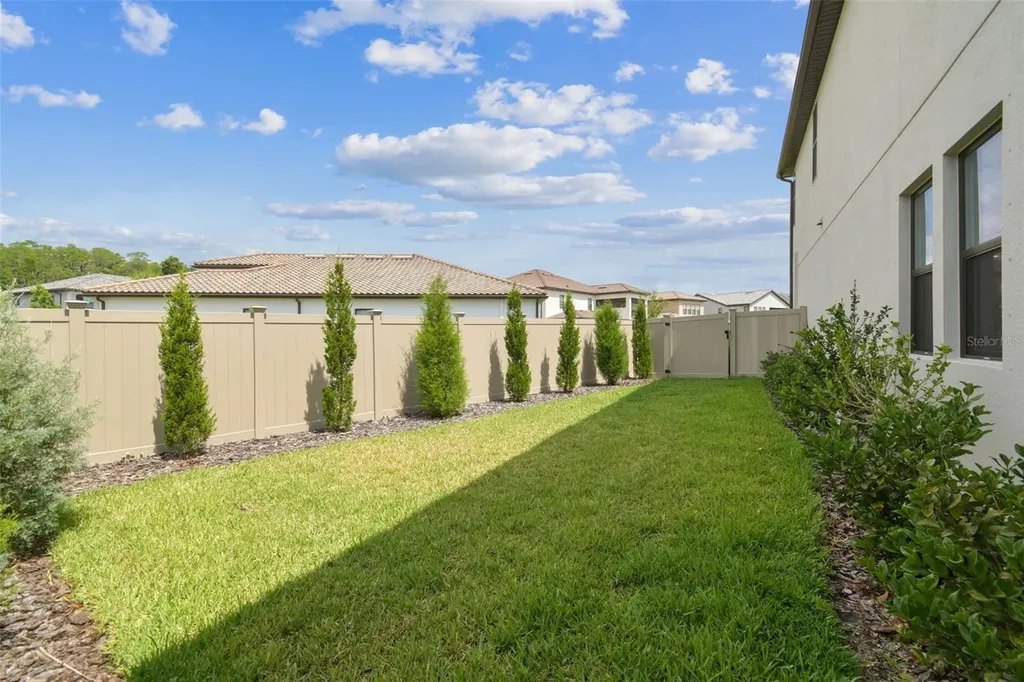 29895 Picana Lane Wesley Chapel FL 33543