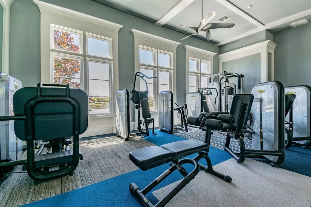 29895 Picana Lane Wesley Chapel FL 33543