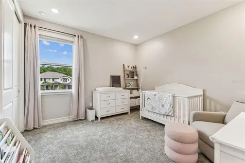 29895 Picana Lane Wesley Chapel FL 33543