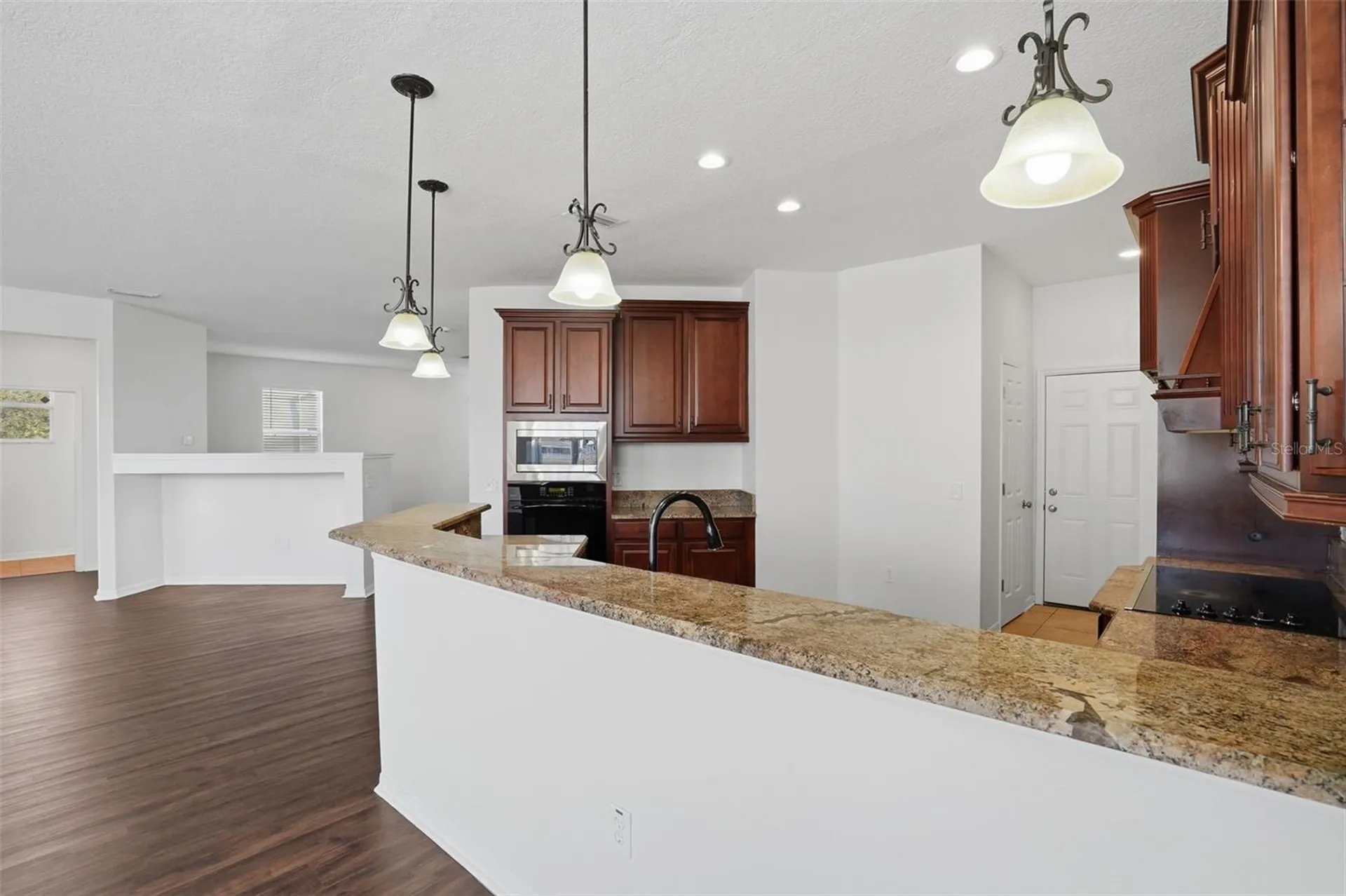 11155 Golden Silence Drive Riverview FL 33579