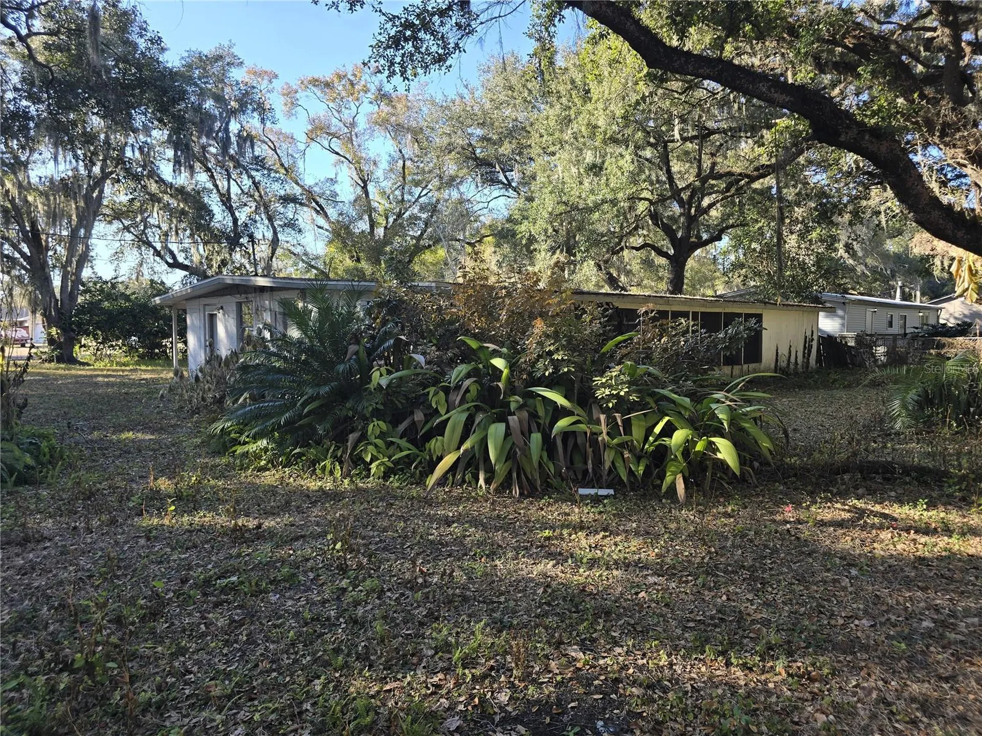 1124 S Wiggins Road Plant City FL 33566