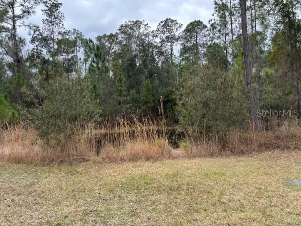 1720 Cassidy Drive St Cloud FL 34771