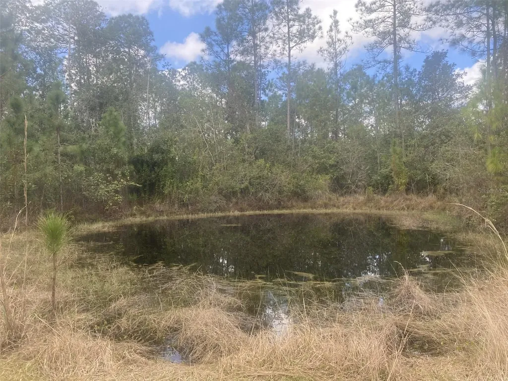 1720 Cassidy Drive St Cloud FL 34771