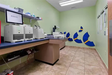 3300 N Highway 19a Mount Dora FL 32757