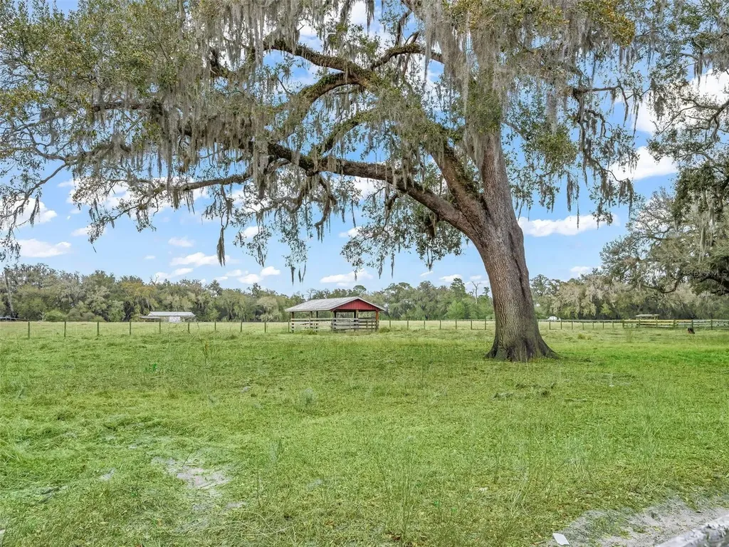 4430 Cr 542h Bushnell FL 33513