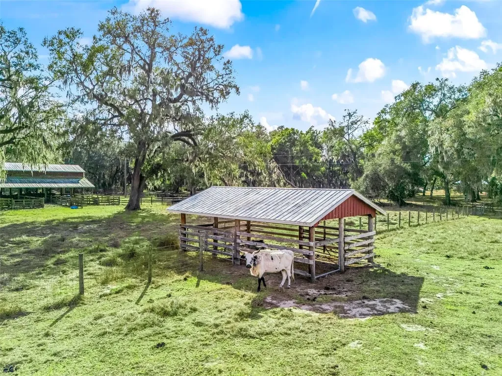 4430 Cr 542h Bushnell FL 33513