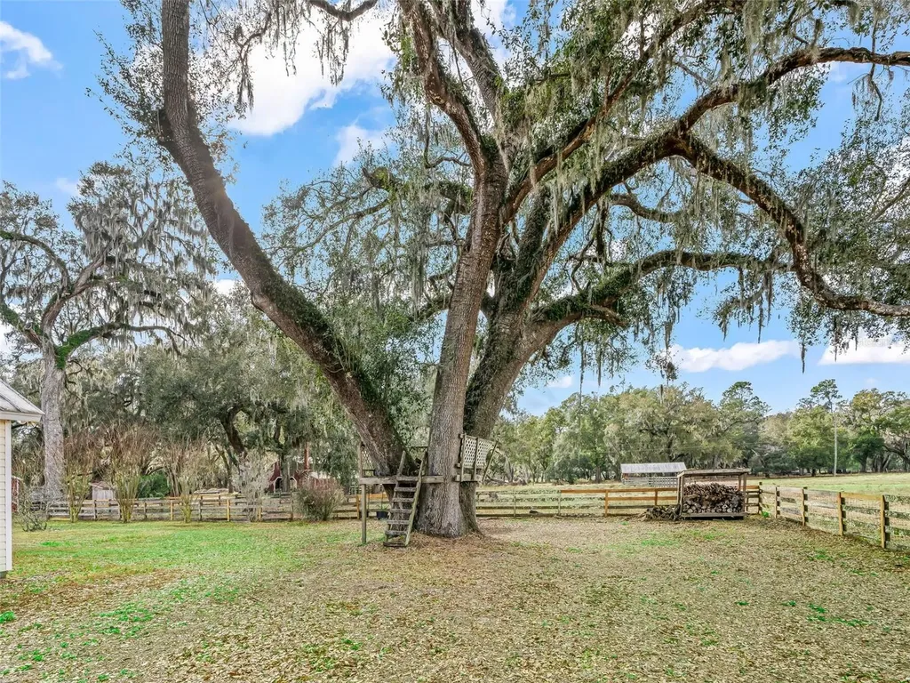 4430 Cr 542h Bushnell FL 33513