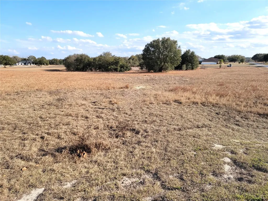 Lot #6 Eagle Run Groveland FL 34736