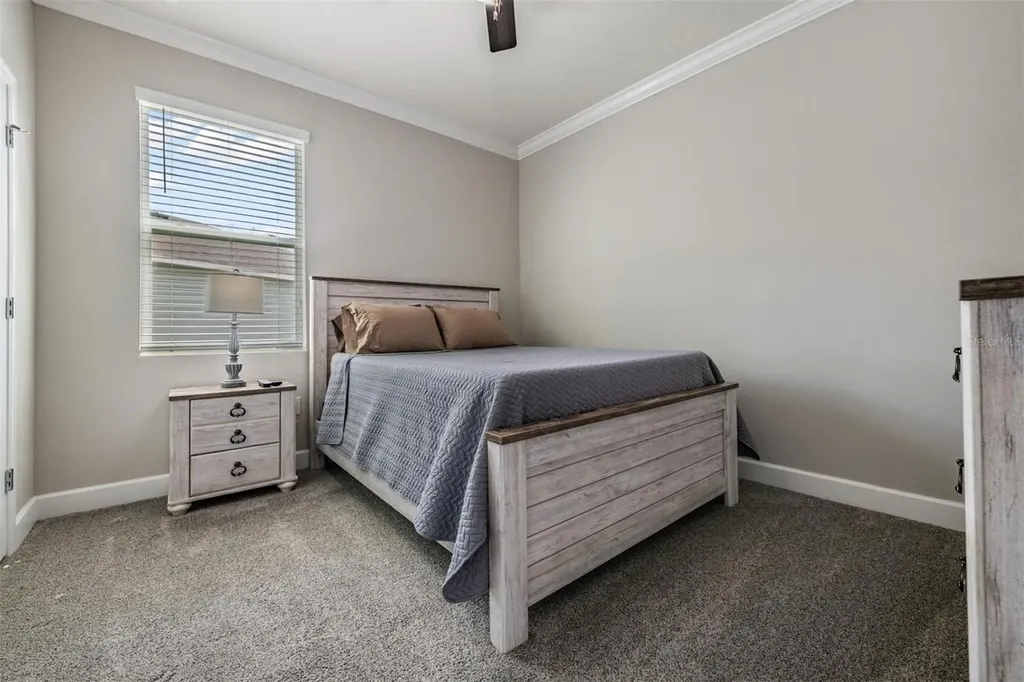 31364 Tansy Bend Wesley Chapel FL 33545